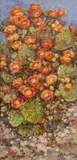 Robert Hamman, Cactus in Spring, oil on canvas