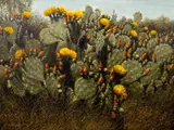Helen Hunter, South Texas Spring, 1971, oil on masonite