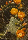 Helen Hunter, Spring in Miniature, 1971, oil on panel