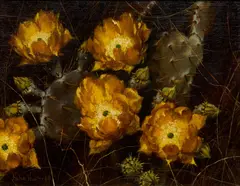 Helen Hunter, Prickly Pear, 1969, oil on canvas