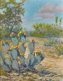 Robert Harrison, South of San Antonio, oil on canvas