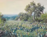 Robert Harrison, Prickly Pear Blooms, oil on canvas