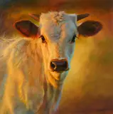 Teresa Elliott, Terlingua, oil on canvas