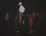 Karen Cooper, Cool Evening Warmup, pastel