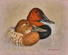 George Schwegmann, Canvasback, acrylic
