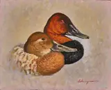 George Schwegmann, Canvasback, acrylic