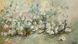José Vives-Atsara, Dogwood Flowers