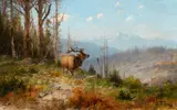 John Fery, Glacier Park Elk, oil on canvas laid on board