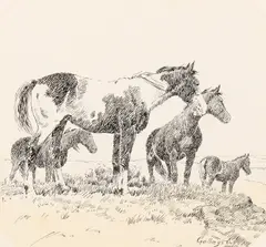 Elling William Gollings, Bunch of Range Horses, 1929, pen and ink on paper
