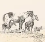Elling William Gollings, Bunch of Range Horses, 1929, pen and ink on paper