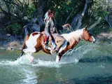 D. Edward Kucera, No Trail Left Behind, 2025, oil on canvas