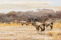 Bob Kuhn, Gemsbok Moving Toward Shade, acrylic on board