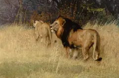Bob Kuhn, Meru Monarchs, acrylic on board