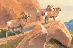 Bob Kuhn, Rams Along a Rocky Ridge, acrylic on board