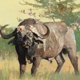 Bob Kuhn, Mbogo, acrylic on board