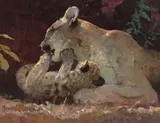 Bob Kuhn, Tough Love, acrylic on board