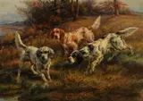 Edmund Henry Osthaus, Three Setters, oil on canvas