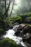 Adair Payne, Waterfall, oil on canvas