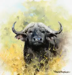 David Shepherd, Cape Buffalo in Bush, 1993, oil on canvas