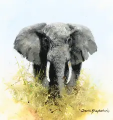 David Shepherd, Marching Elephant, 1987, oil on canvas