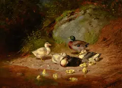 Duck Families by Arthur Fitzwilliam Tait, 1880, oil on board, sold Jul 2026