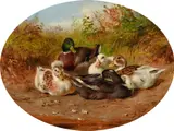 Arthur Fitzwilliam Tait, Ducks, oil on board