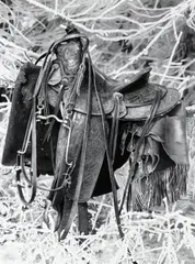 Rachel Brownlee, Sentinel, 2025, charcoal on board