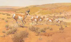 Joe Ferrara, Antelope Running, 2000, oil on canvas