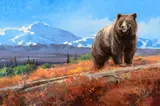 Luke Frazier, Denali Traveler