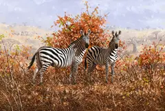 Michael Ghaui, Zebras, 1987, oil on canvas