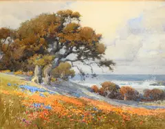 Percy Gray, Monterey Oak, watercolor on paper