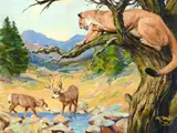 Frank B. Hoffman, Ambush, oil on board