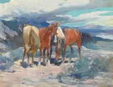 Frank Tenney Johnson, Wild Horses