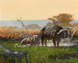 Bob Kuhn, Fly Country, acrylic on board