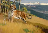 Bob Kuhn, Homage to Jim Corbett