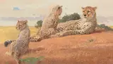 Bob Kuhn, The Huntress