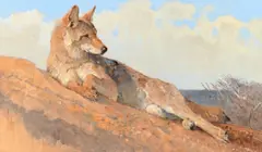 On the Alert by Bob Kuhn, 2001, acrylic on board, sold Jul 2025