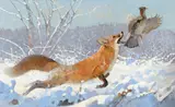 Bob Kuhn, Red Fox Airborne