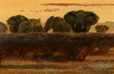 Bob Kuhn, Sunset at Garba Talla, acrylic on board