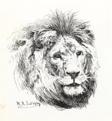 William Robinson Leigh, Lion, pen and ink on paper