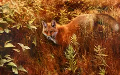 Bonnie Marris, Red Alert, oil on canvas
