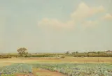 Alfred Parsons, Turnip Field near Littlehampton, watercolour, 35 x 51cm