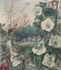 Convolvulus by Elizabeth Sorrell, watercolour, sold Jun 2026