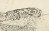 Ruskin Spear, Sleeping Cat, pencil