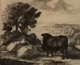 Charles Tunnicliffe, The Cheshire Plain