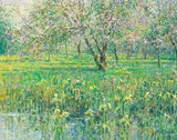 Charles Neal, The Garden at the Old Post Office, Redcomb, oil on canvas