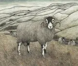 Seren Bell, Ram, watercolour