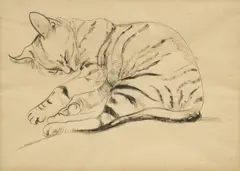 Lea Grundig, Sleeping Cat, watercolour