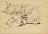Lea Grundig, Sleeping Cat, watercolour