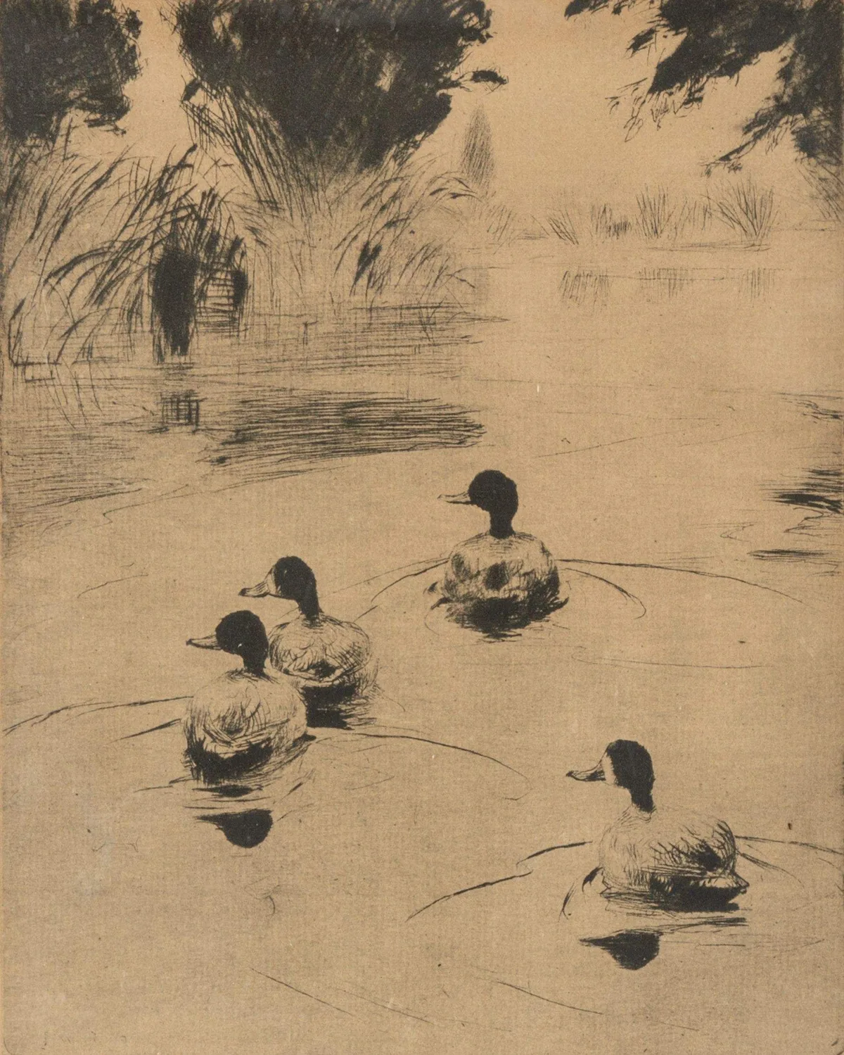 Broadbills by Frank Weston Benson, Print, sold Jan 2022